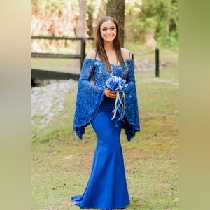 Blush by Alexia prom or pageant dress